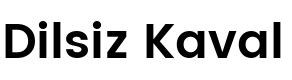 Osmaniye Müzik Aletleri